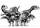 Coloring pages group of dinosaurs - skulls