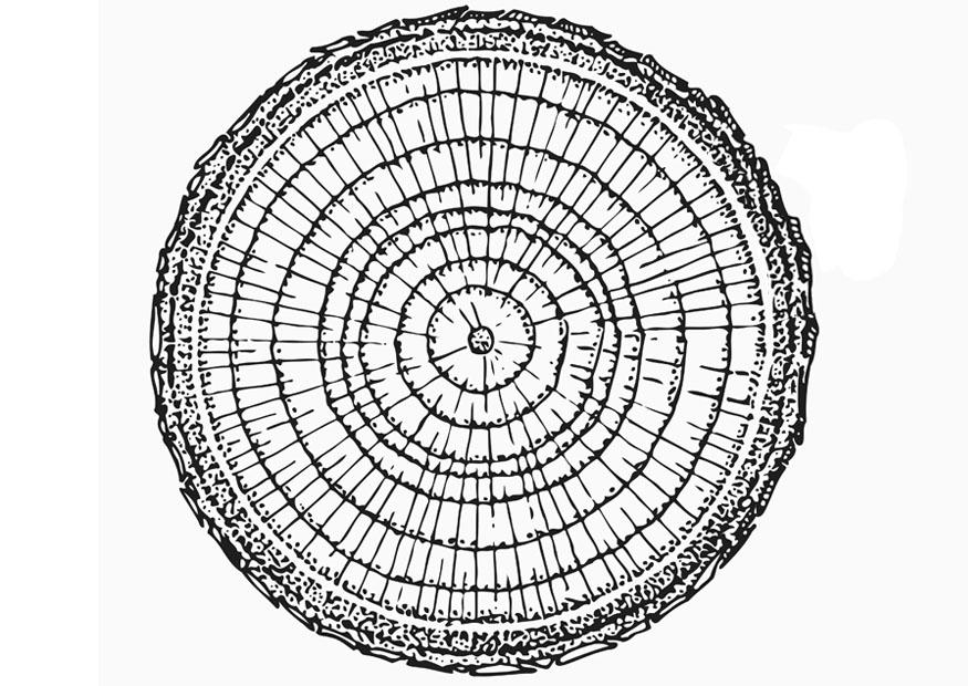 Coloring page growth rings