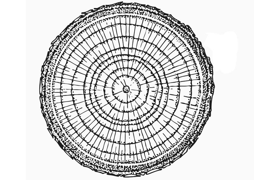 Coloring Page growth rings free printable coloring pages