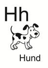 h