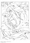 Coloring page hammerhead shark