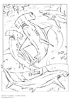 Coloring pages hammerhead shark