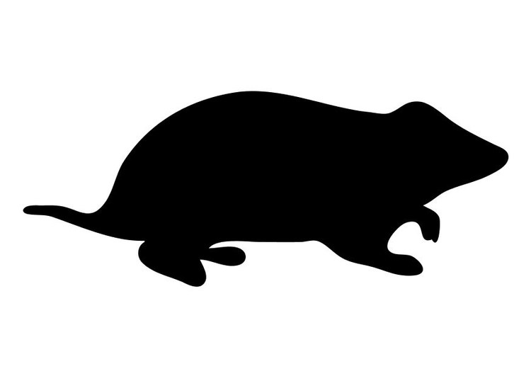 Download Coloring Page hamster - free printable coloring pages - Img 10196