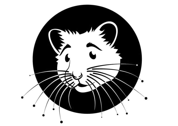 Coloring page hamster