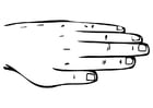 hand