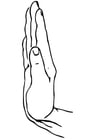 Coloring pages hand