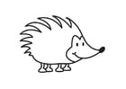Coloring pages Hedgehog