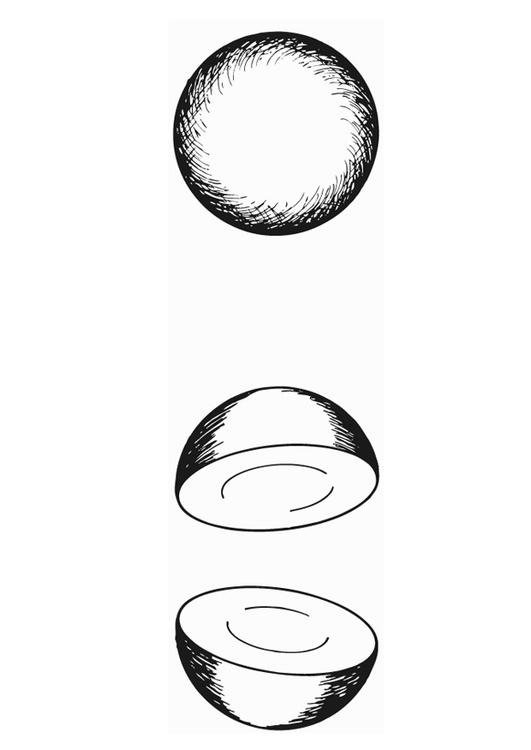 Hemisphere - half of a sphere
