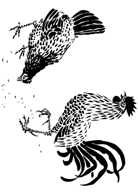 Hen and Rooster