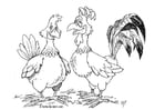 Coloring page hen and rooster