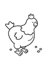 Coloring pages Hen