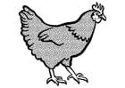 Coloring page hen
