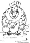 Coloring pages hen with chickens