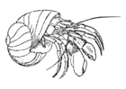 Coloring page hermit crab