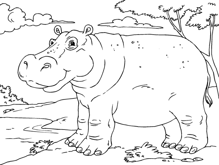 Coloring page hippopotamus