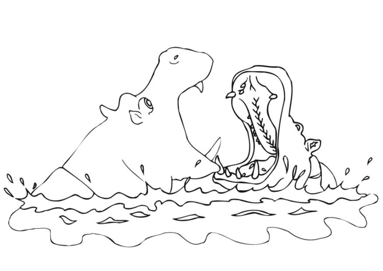 Coloring page hippopotamus