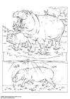 Coloring pages hippopotamus