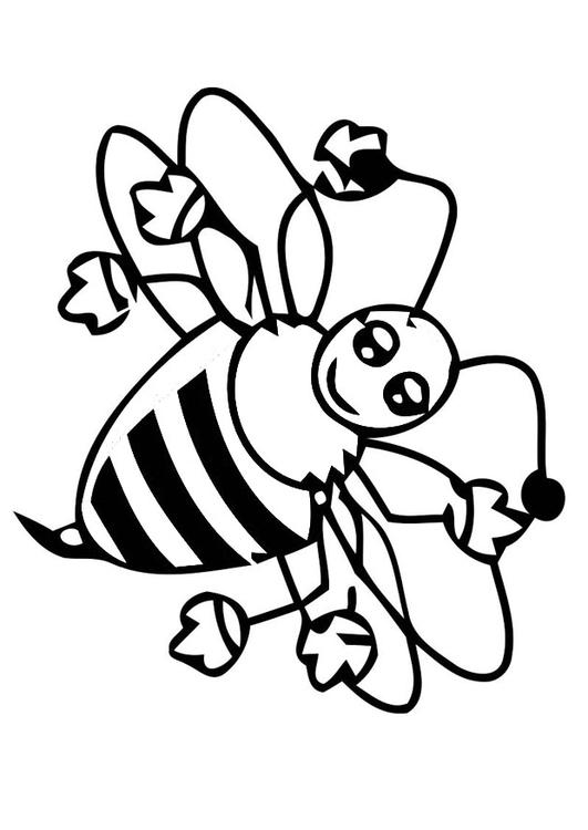 honey bee