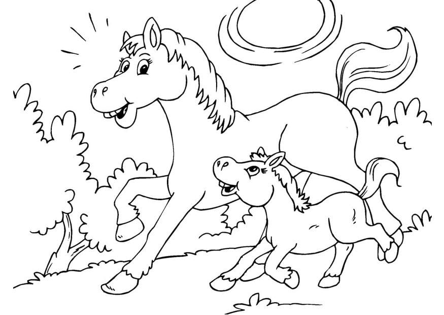 Coloring page horse and foal