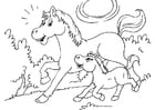 Coloring page horse and foal