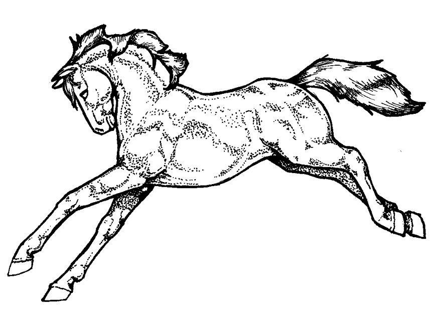 Coloring page horse