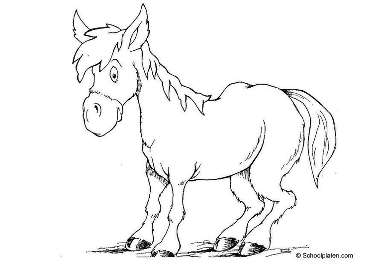 Coloring page horse