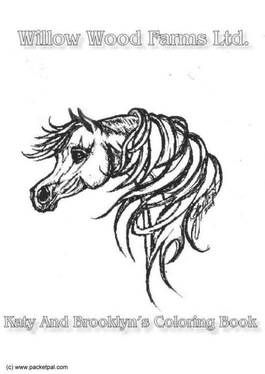Coloring page horse farm