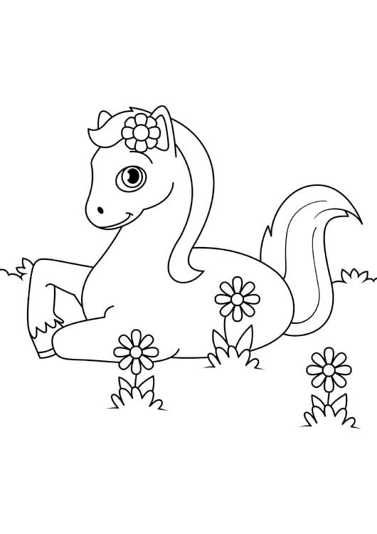 Coloring page horse in the meadow