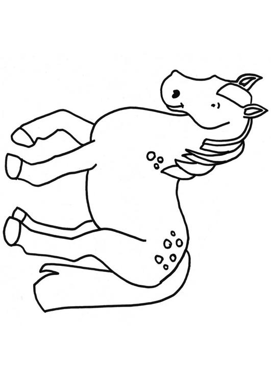 Horse