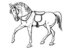 Coloring page horse