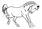 Coloring page horse