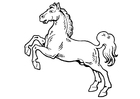 Coloring page horse