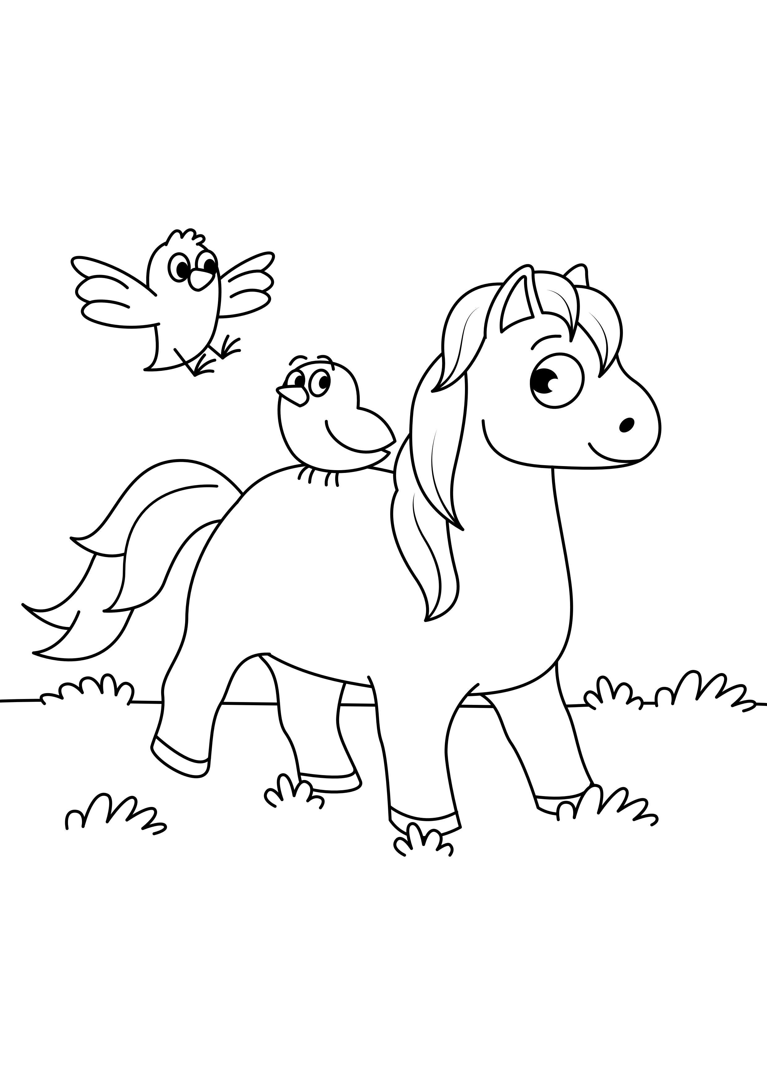 Coloring page horse with birds
