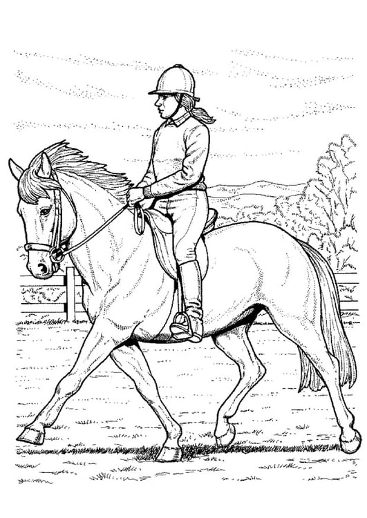 Coloring page horse-back riding