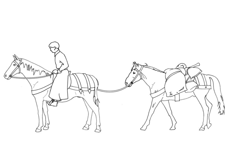 Coloring page horseman and load