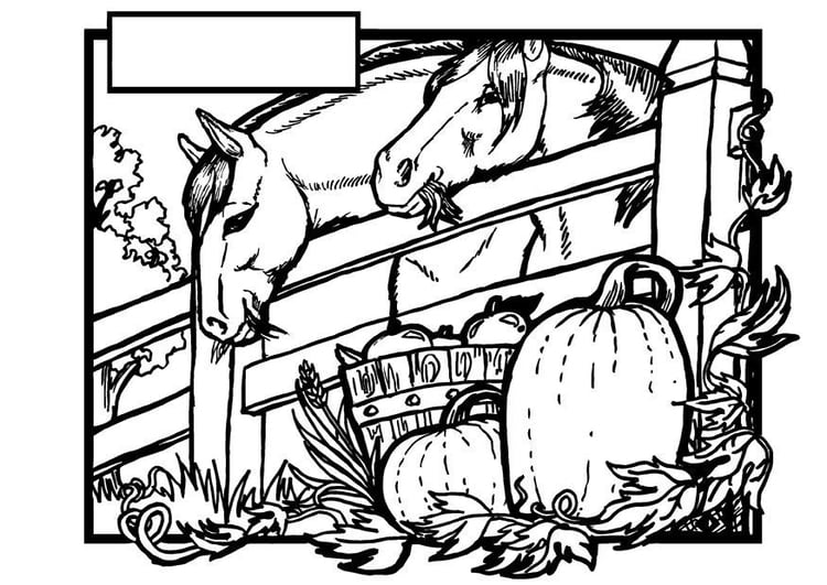 Coloring page horses