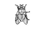 Coloring page housefly