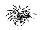 Coloring page houseplant