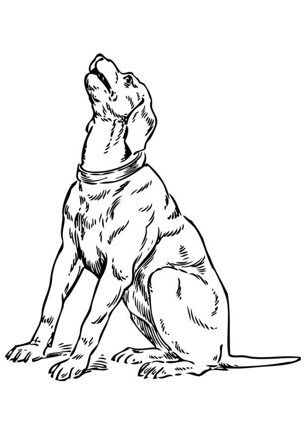 Coloring page Howling Dog