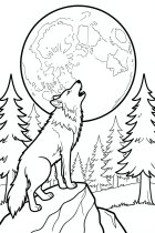 howling wolf on a rock