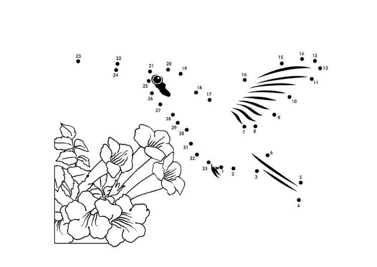 Coloring page hummingbird