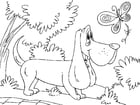 Coloring page hunting dog