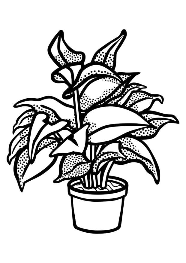 Coloring page indoor plant