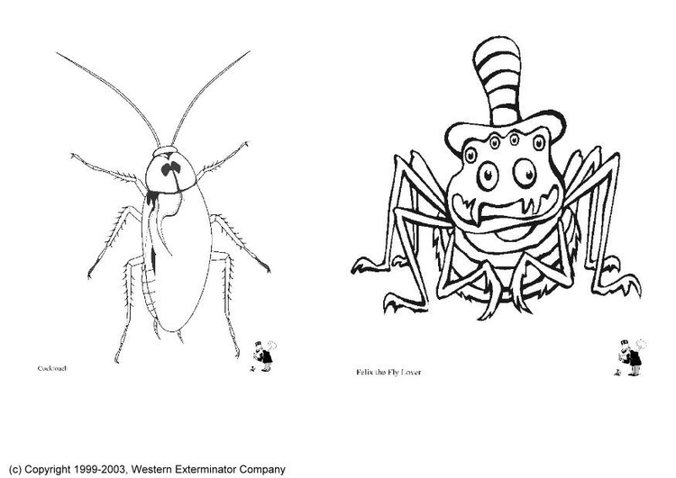 Coloring page insects
