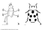Coloring page insects