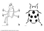 Coloring pages insects