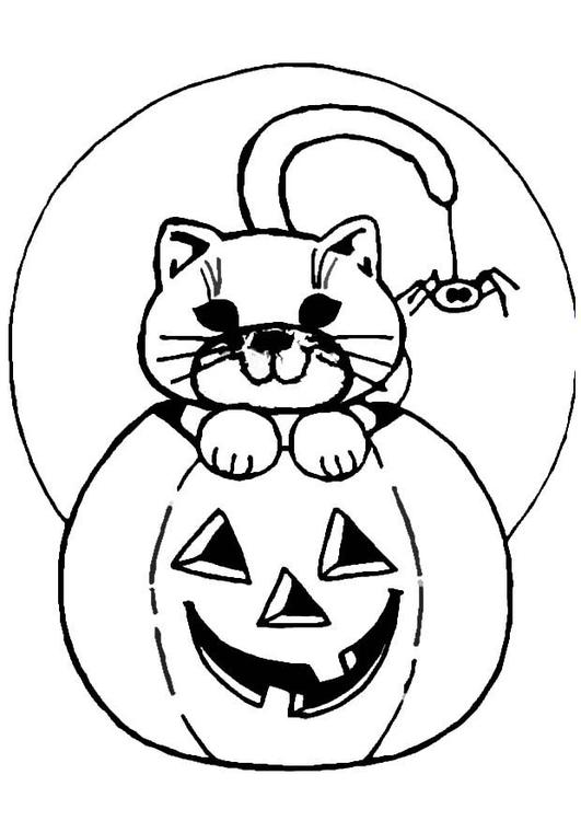 jack-o-lantern and cat