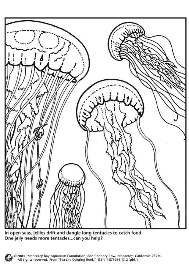 Coloring page jellyfish