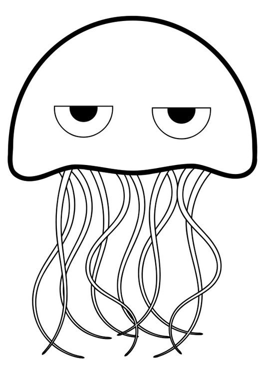 Coloring page jellyfish