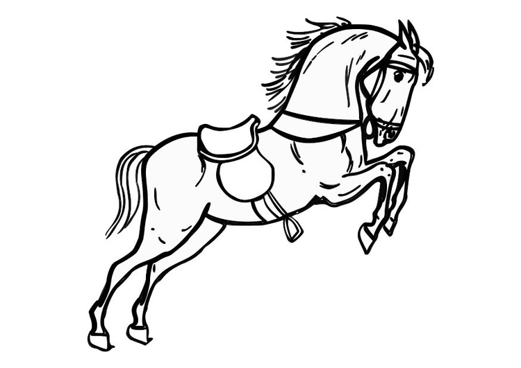 Coloring page jumping horse